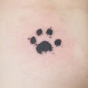 Meet your Posher, Quinn